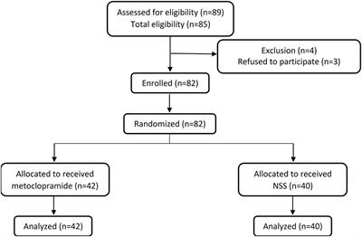 Intravenous Metoclopramide to Improve the Success Rate of Blind Bedside Post-pyloric Placement of Feeding Tube in Critically Ill Children: A Randomized, Double-Blind, Placebo-Controlled Study